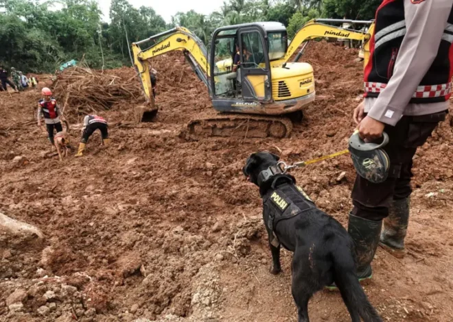 BNPB Tetapkan 269 Keluarga di Cilacap Masuk Program Relokasi Korban Longsor