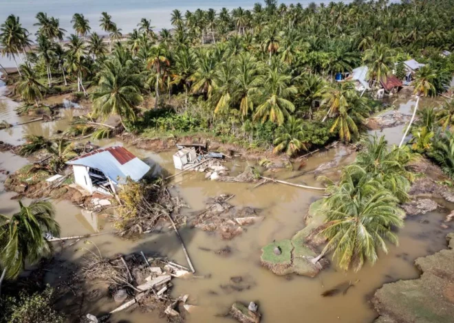 Pemerintah Atasi Segera Sawah Rusak Pasca Bencana 3 Propinsi