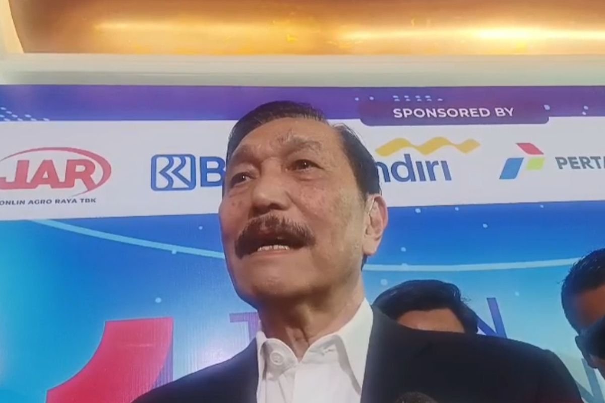 Luhut Klarifikasi dan Bantah Tuduhan Kepemilikan Saham Toba Pulp Lestari