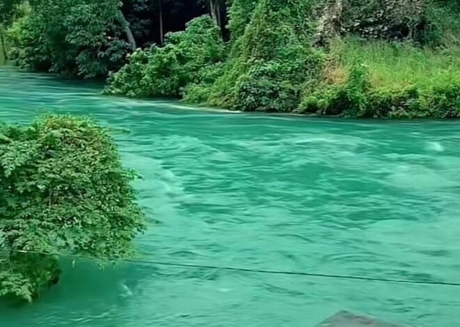 Fenomena Viral: Air Danau Singkarak Mendadak Jernih Setelah Banjir Sumatera Melanda