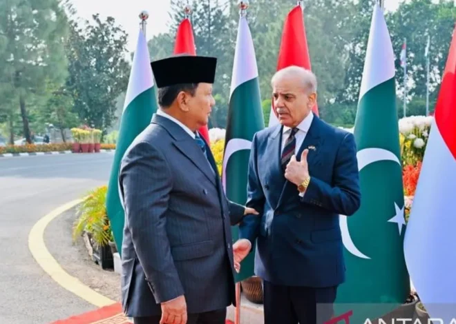 PM Pakistan Tawarkan Tenaga Medis untuk Dukung Sistem Kesehatan RI