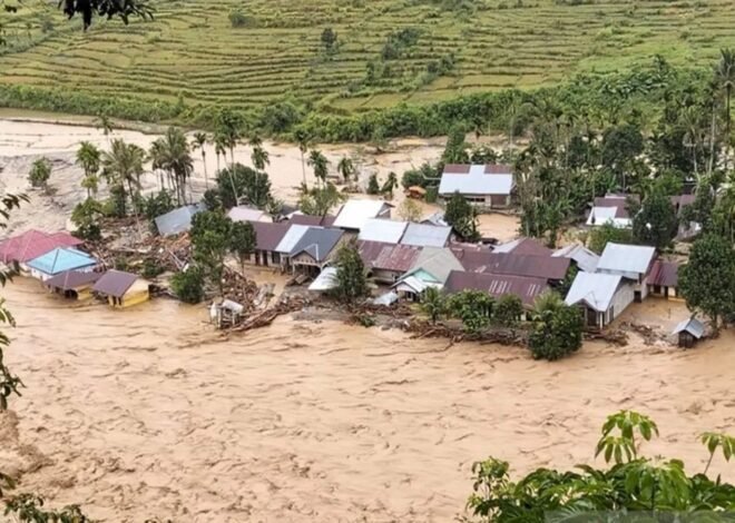 Pemerintah Hapus Utang KUR Petani Korban Bencana di Sumatera
