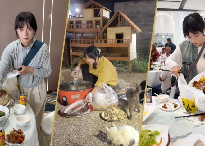 Viral di Medsos, Wanita Beri Makan Ratusan Kucing Pakai Sisa Hajatan