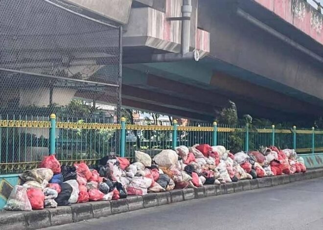 Menteri PU Ungkap Penyebab Sampah Menggunung di Tangsel