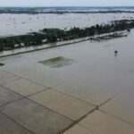 Bencana Sumatra Ancam 4.000 Hektare Sawah, Petani Khawatir Gagal Panen