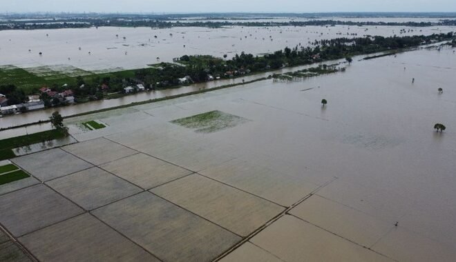 Bencana Sumatra Ancam 4.000 Hektare Sawah, Petani Khawatir Gagal Panen