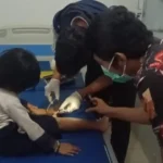 Sepanjang 2025, Korban Gigitan Ular Badui Meningkat Setidaknya 11 Meninggal