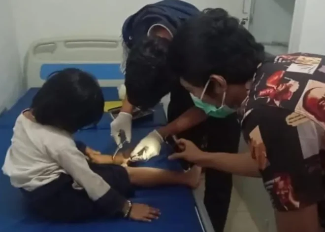 Sepanjang 2025, Korban Gigitan Ular Badui Meningkat Setidaknya 11 Meninggal