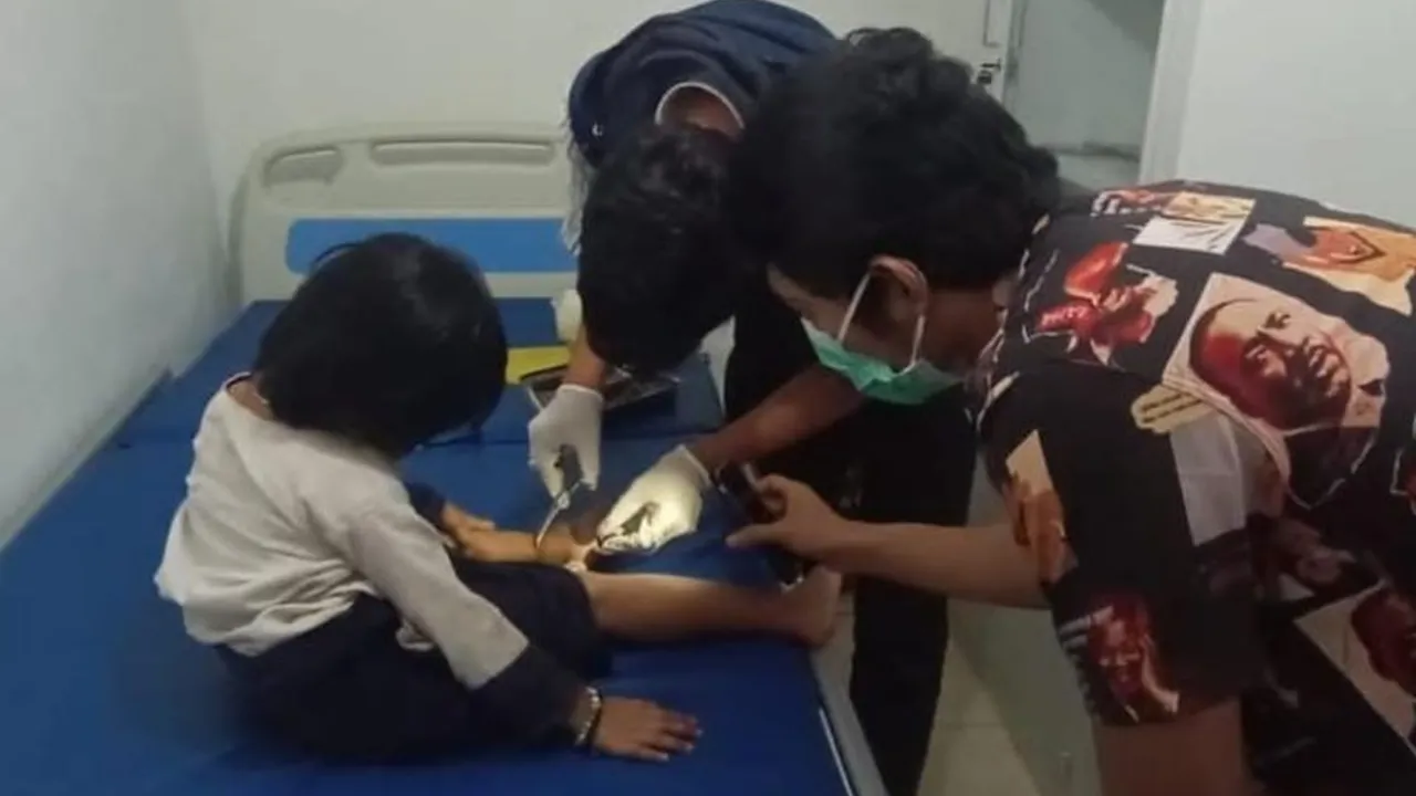 Sepanjang 2025, Korban Gigitan Ular Badui Meningkat Setidaknya 11 Meninggal