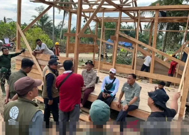 Ratusan Kayu Hasil Banjir Dimanfaatkan untuk Bangunan Warga Terdampak di Aceh dan Sumut